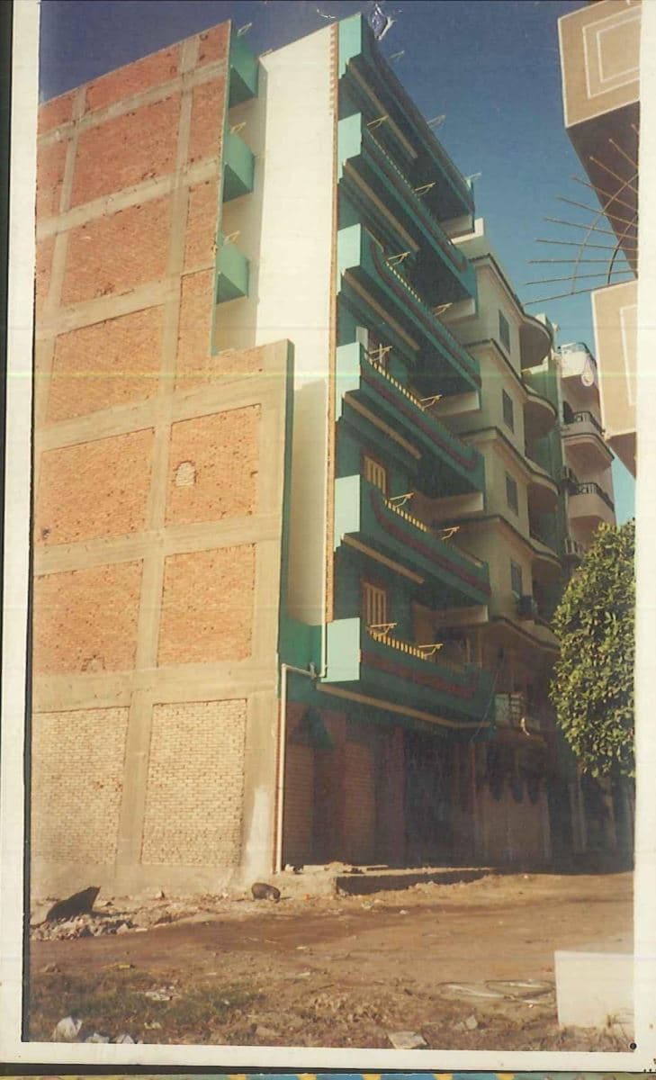 عمارة المحلة الكبرى (3) — 4