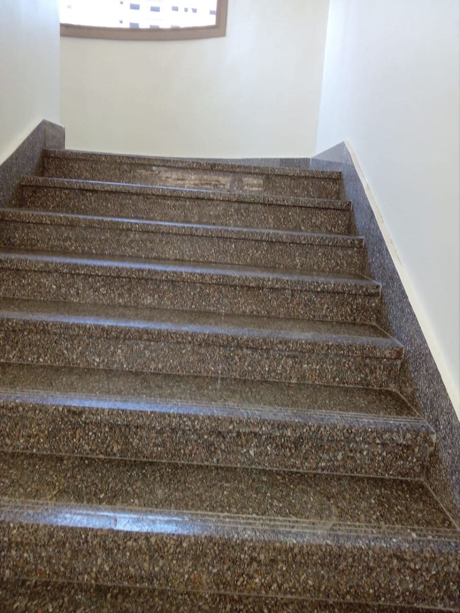 تشطيب مدرسة النوتردام — 27